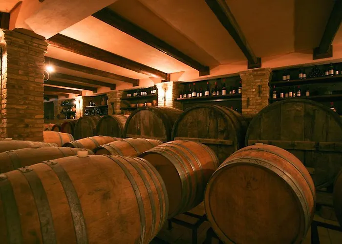 Bed & Breakfast Azienda Vitivinicola Sergio Del Casale