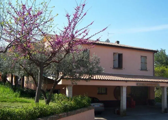 Azienda Vitivinicola Sergio Del Casale Frühstückspension Vasto